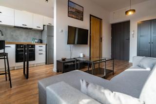 Nikiszowiec Chic Apartment - Kattowitz - 4