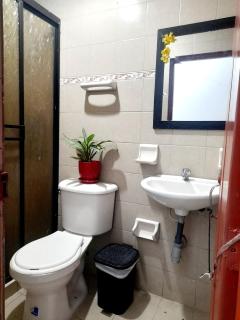 apartamento cerca al terminal de transporte - Armenia - 6