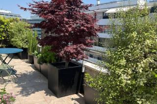 Le PARADIS Joli cocon bien agencé avec terrasse traversante - Boulogne-Billancourt - 1