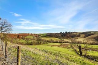Upper Caerfaelog Farmhouse - Llanbister - 9