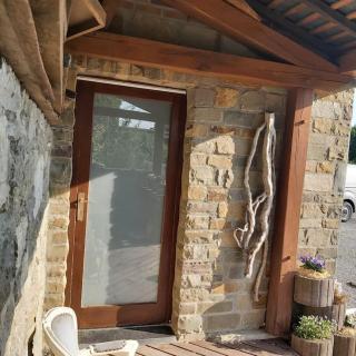 La petite souche - Rochefort - 9