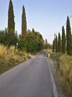 Casa Vacanza Campagna Empoli Terrazzo Belvedere - Granaiolo - 8
