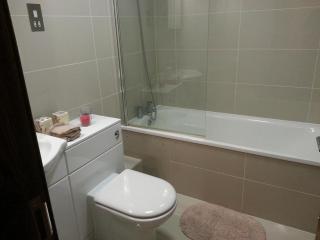 Epsom Road studio flat - Croydon - 3