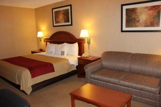 Quality Inn Colorado Springs South - 7