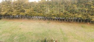 ALOJAMIENTO CAMPESTRE SANTA ELENA - 6