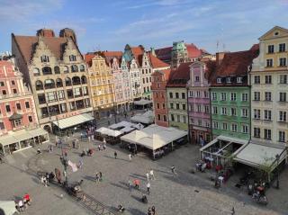 Lisi zagajnik - Wrocław - 6