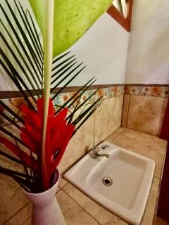 Alouatta Lodge and Canopy - Cahuita - 1