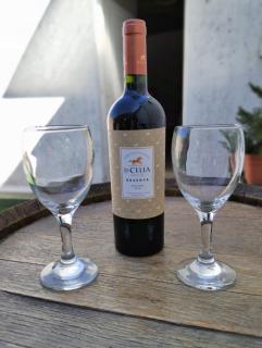 LA BARRICA ESTUDIO en Mendoza Capital, Centrico y acogedor, con hermosa terraza para disfrutar - Mendoza - 8