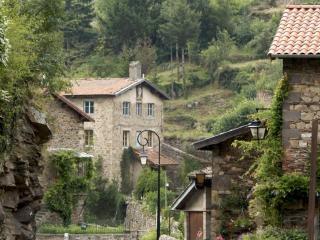 Charmant Gîte en Pierre avec Terrasse et Confort Moderne dans le Parc du Pilat - FR-1-496-155 - Doizieux - 9