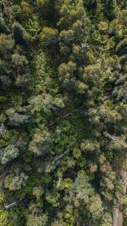 THE KEEP - Tasmania - 1