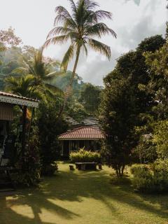 1511 Coconut Grove - 4