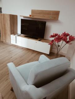 Duplex labradores centro 8PAX, PARKING INCLUIDO - Logroño - 5