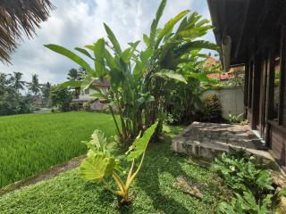 Villa Padi Menari - Ubud - 3