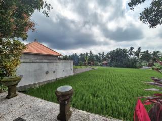 Villa Padi Menari - Ubud - 5