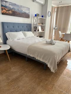 DORADA Primera línea y piscina - 2