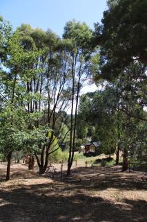 Libelle - Peaceful, Secluded Luxury with abundant wildlife and seasonal water views, on 3 private acres IN Daylesford - Daylesford - 3