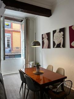 Toulouse Capitole superbe appartement - Toulouse - 7