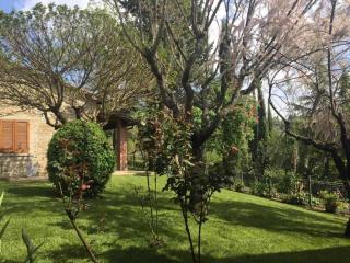 Sassocupo Apartment - Arezzo - 1