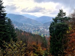 Schöne Ferienwohnung im Schwarzwald - Bad Herrenalb - 2