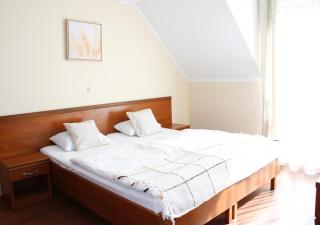 Pod Bukami - Chill&SPA - Szklarska Poręba - 7