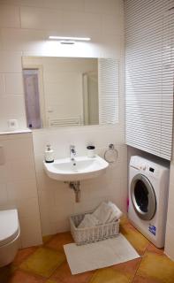 Svaty Prokop Luxury Apartment Boží Dar - Boží Dar - 6