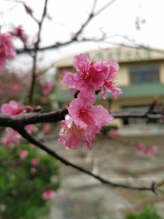 Tai Yu Ju Bao Fang B&B - Yongan - 9