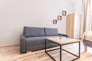 Comfortable 1 Bedroom Apartment in Prime Location - Vienna - 9