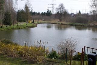 Nad stawami -  - 5