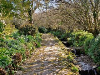 Fern Cottage, Triscombe Farm Cottages - 3