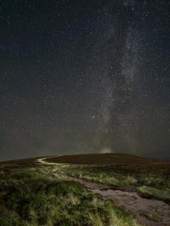 Fern Cottage, Triscombe Farm Cottages - 2
