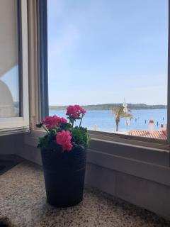 F76. Vistas al mar en Fornells! - Fornells - 5