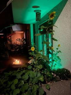Bellezza in Lorraine - Bern - 1