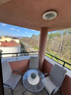 Apartmani Central 12 & Free parking - Vrnjačka Banja - 3