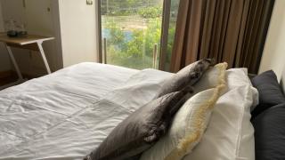 Sanctuary Hua Hin near Khao Takiab beach - 8