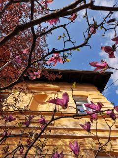 The Villa, Ljubljana city center - Liubliana - 9