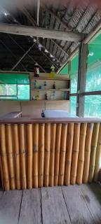 Amazon tucuxi - 5