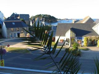 Superbe appartement duplex au centre de TREGASTEL vue sur mer - Réf 745 - Trégastel - 7