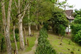 Samai Lodge Holistic Living - Olón - 7