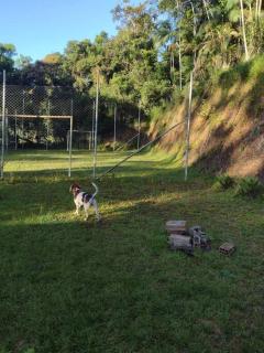 Contemplar a natureza, ouvir os pássaros, relaxar. - 4