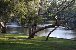 Bushy Lake Chalets - 5