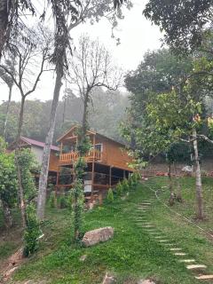 Coorg Jungle Mist - Madikeri - 1