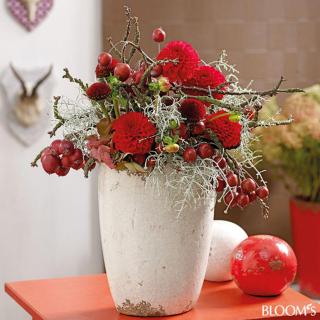 Pezza Lischa - Kappl - 5