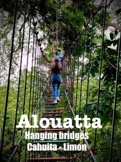 Alouatta Lodge and Canopy - Cahuita - 9