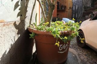 Navona Wooow Apartment 5 minutes walk - Rome - 5
