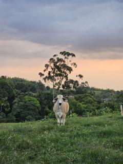 Acogedor alojamiento rural - Filandia - 5