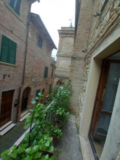 La casa di Virma - Castelnuovo Berardenga - 3