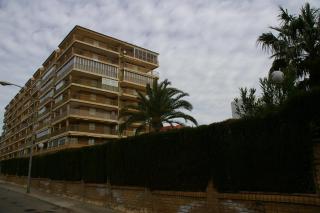 COSTA BRASIL Orangecosta - Benicàssim - 3