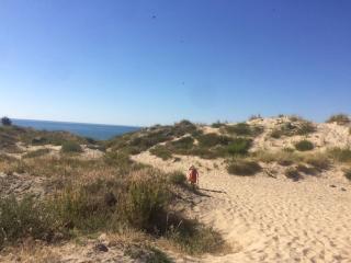 Location 1 à 4 pers. dans résidence Front de mer - Soulac-sur-Mer - 9
