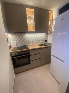 Apartman CEGER 1 - Vračar (historical) - 7