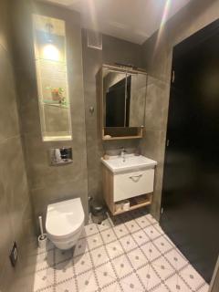 Apartman CEGER 1 - Vračar (historical) - 1